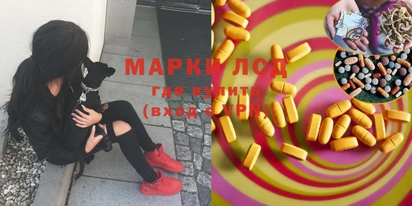 прущие грибы Карпинск