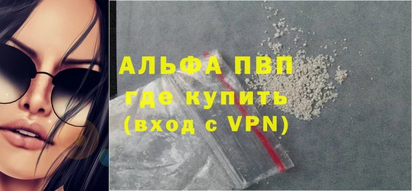 прущие грибы Карпинск