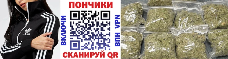 Бошки Шишки семена  Купить  Кирсанов 